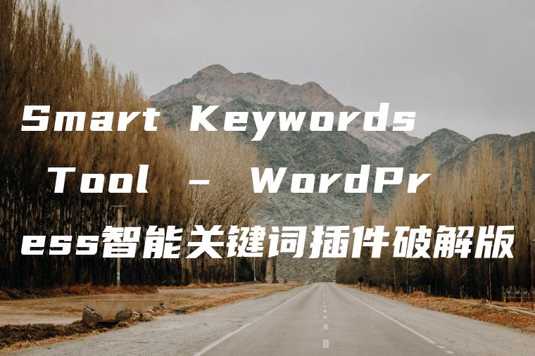 Smart Keywords Tool – WordPress智能关键词插件破解版[V1.6.1]-暗夜博客